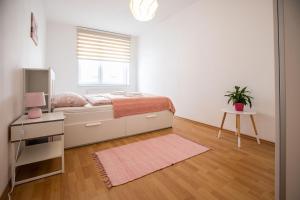 Spacious Apartment in the Old Town of Bratislava
