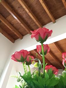 Casa Vacanze Zia Concetta