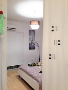 Lalas Ramblas Estudio Santa Cruz Tenerife