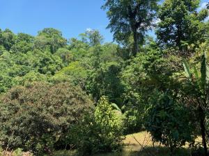 Paraisoverde-Corcovado Over Night