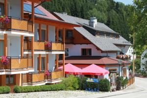 Appartement Haus 38 Aich Austria J2ski