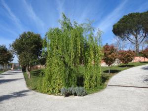 Alloggio Turistico Confortevole Passo Corese