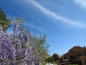 Alloggio Turistico Confortevole Passo Corese