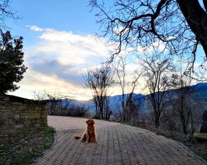 Agriturismo Il Salice