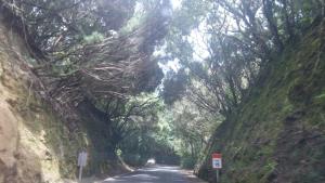 Charming Suite ocean view heated pool