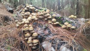 Charming Suite ocean view heated pool