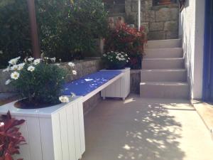 Vacation Home Vidučić