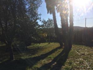 Clos des Vignes Pampelonne Vineyard