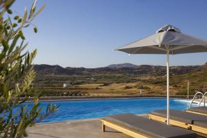 Naxos Aigli Villas-Master villa