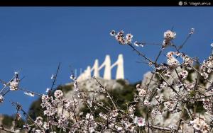 Hotel Fotini Epirus Greece