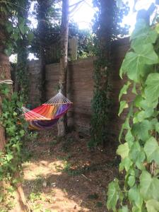 Maisons de vacances Villa Sophie : photos des chambres