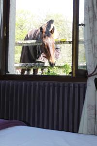 B&B / Chambres d'hotes Chambres et Table d'Hotes Les Machetieres : Chambre Double