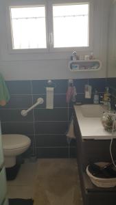 VOLCANS DAUVERGNE - PONTAUMUR