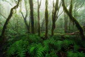 Casa Julia atico vistas playa Las Teresitas