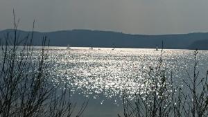 One-Bedroom Apartment room in Ferien am See