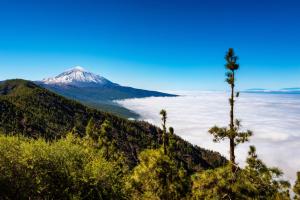 CASA TIA JULIA, vivienda independiente 4 pax en playa Las Teresitas