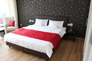 费里恩多米奇尔阿姆林登普拉兹酒店 - 布莱