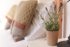 Charming Apartment - Lisbon Center