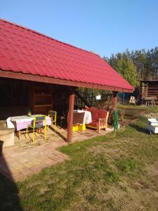 Dom wakacyjny u Alicji