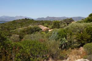 Residence Baia Salinedda img38