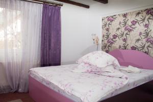 Pensiunea Ianis Moieciu