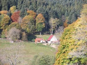 B&B / Chambres d'hotes FERME IM-BERG : photos des chambres