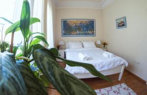 Crown apartment with garden view