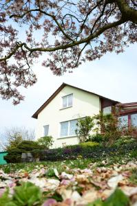 Appartement Ferienwohnung Rheinblick Bad Bellingen Allemagne