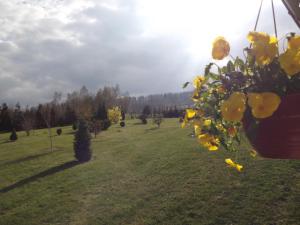 Apartament Fenowe Wzgórze