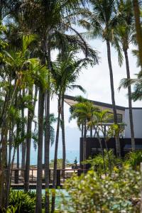 Whitsunday Passage via Airlie Beach, 4802 Daydream Island, Australia.