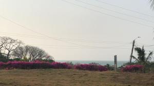 Hotel Brisas del Mar San Antero