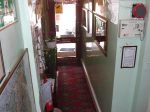 Single Room room in Albany Hotel
