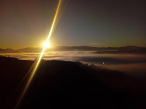 Agriturismo Il Beccafico Alpaca