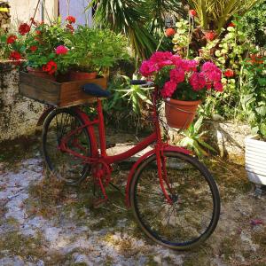 Katia's ATTIC Corfu Greece