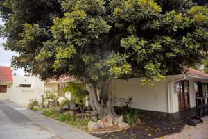 Dolliwarie Guesthouse