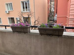 Parchevich 31 Center Apartment