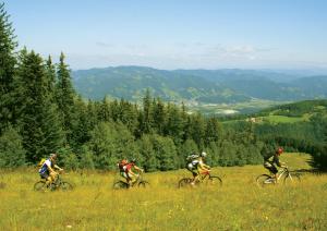 Bed & Breakfast Reaktiv