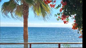 MI CAPRICHO A12 - Luxury Beachfront Apartment- Costa del Sol