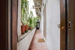 Apartment with Terrace room in Florence Rental