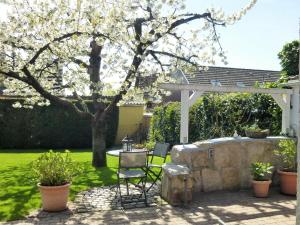 Ferienwohnung Kirschblüte