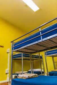 Bed in 6-Bed Mixed Dormitory Room