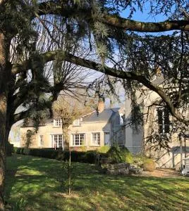 Au Bonheur Dupré B&B - 卢瓦尔河畔蒙图瓦尔