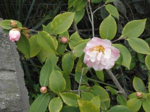 RITAS ROOM ON THE SEA