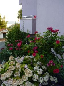 Apartmani Ferdi
