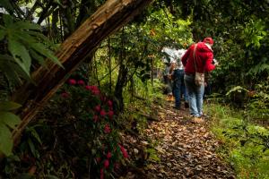 Eco Hotel El Columpio