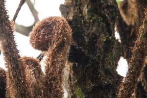 Eco Hotel El Columpio