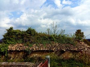 Katia's ATTIC Corfu Greece