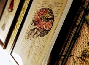 DB House, Town Center Apartment