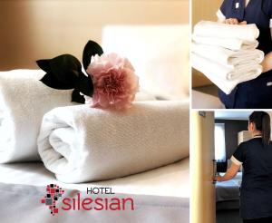 Economy Silesian Hotel