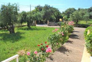 Lefkothea Apartments Corfu Greece